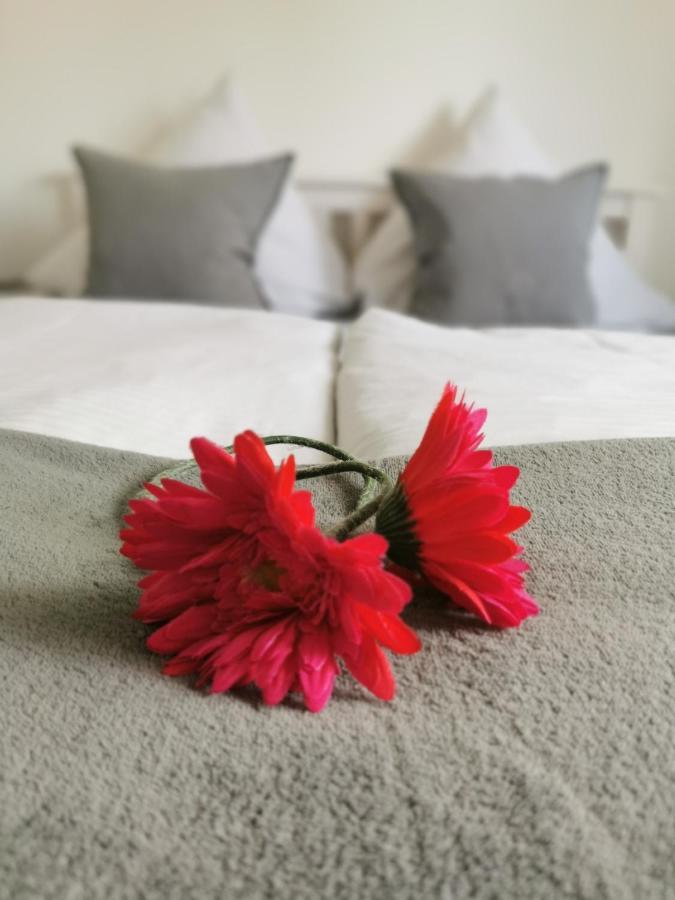 Hotel Schenk 피라마센스 외부 사진
